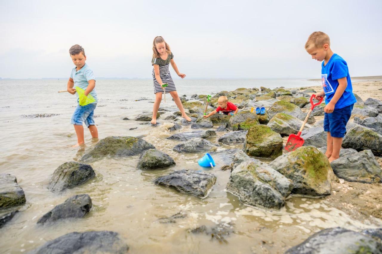 Camping Scheldeoord Baarland Kültér fotó