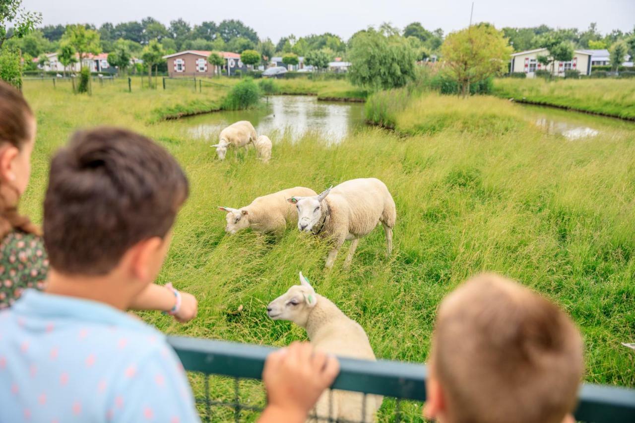 Camping Scheldeoord Baarland Kültér fotó