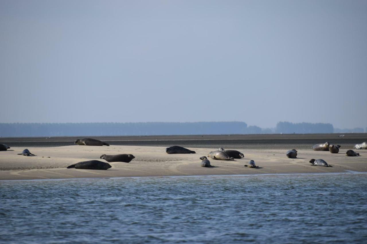 Camping Scheldeoord Baarland Kültér fotó